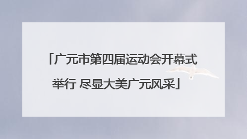 广元市第四届运动会开幕式举行 尽显大美广元风采