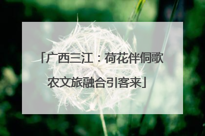 广西三江：荷花伴侗歌 农文旅融合引客来