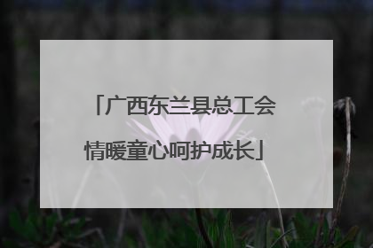 广西东兰县总工会情暖童心呵护成长