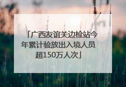 广西友谊关边检站今年累计验放出入境人员超150万人次