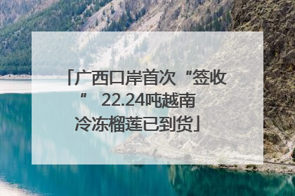 广西口岸首次“签收” 22.24吨越南冷冻榴莲已到货