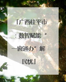 广西桂平市：数智赋能“一窗通办”解民忧