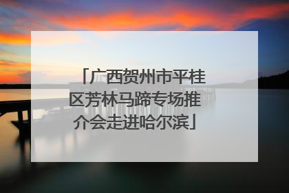 广西贺州市平桂区芳林马蹄专场推介会走进哈尔滨