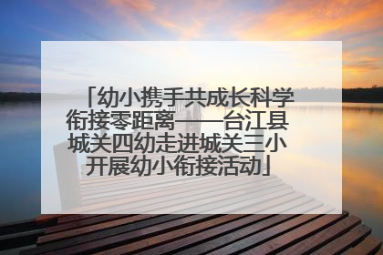 幼小携手共成长科学衔接零距离——台江县城关四幼走进城关三小开展幼小衔接活动