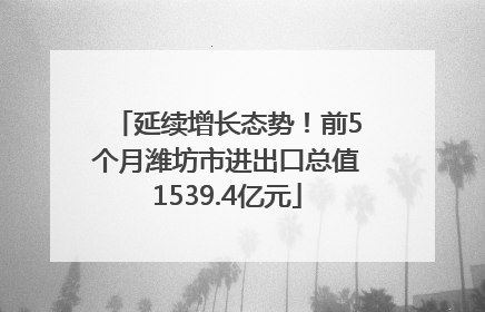 延续增长态势！前5个月潍坊市进出口总值1539.4亿元