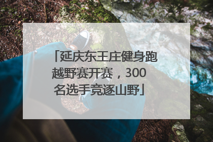 延庆东王庄健身跑越野赛开赛，300名选手竞逐山野