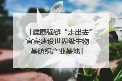 建圈强链“走出去” 宜宾建设世界级生物基纺织产业基地