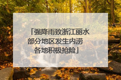 强降雨致浙江丽水部分地区发生内涝 各地积极抢险