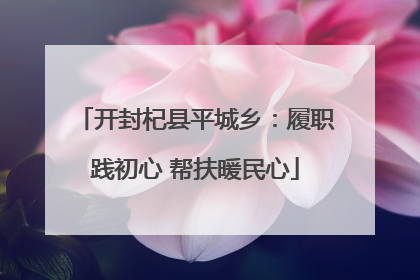 开封杞县平城乡：履职践初心 帮扶暖民心