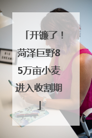 开镰了！菏泽巨野85万亩小麦进入收割期