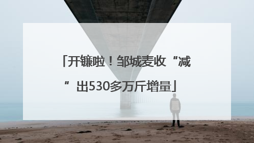 开镰啦！邹城麦收“减”出530多万斤增量