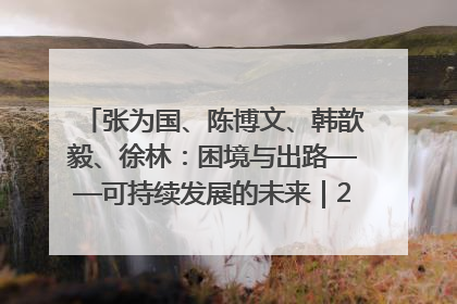 张为国、陈博文、韩歆毅、徐林：困境与出路——可持续发展的未来｜2025IFCII