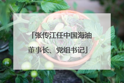 张传江任中国海油董事长、党组书记