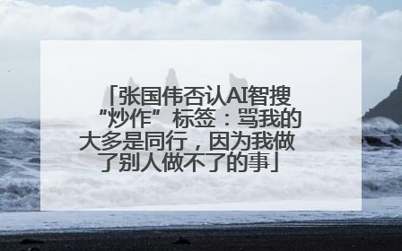 张国伟否认AI智搜“炒作”标签：骂我的大多是同行，因为我做了别人做不了的事
