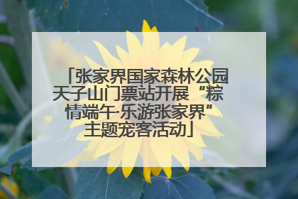 张家界国家森林公园天子山门票站开展“粽情端午·乐游张家界”主题宠客活动