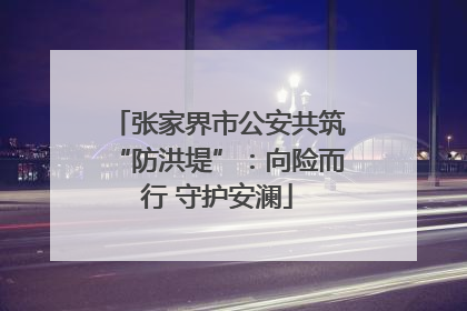 张家界市公安共筑“防洪堤”：向险而行 守护安澜