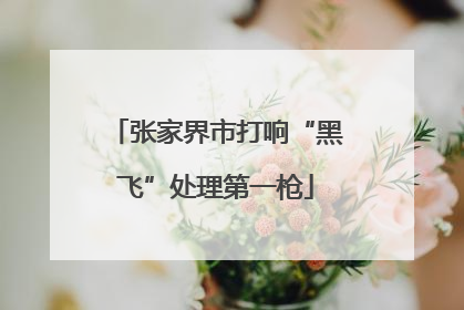 张家界市打响“黑飞”处理第一枪
