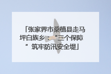 张家界市桑植县走马坪白族乡：“三个保障”筑牢防汛安全堤