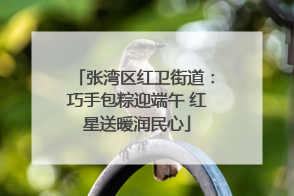 张湾区红卫街道：巧手包粽迎端午 红星送暖润民心