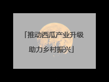 推动西瓜产业升级 助力乡村振兴