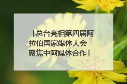 总台亮相第四届阿拉伯国家媒体大会 聚焦中阿媒体合作
