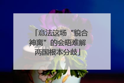 意法这场“貌合神离”的会晤难解两国根本分歧
