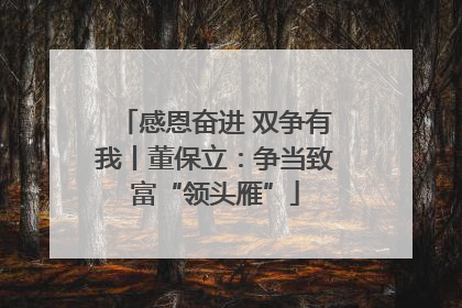 感恩奋进 双争有我丨董保立：争当致富“领头雁”