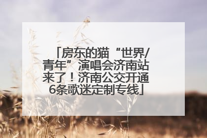 房东的猫“世界/青年”演唱会济南站来了！济南公交开通6条歌迷定制专线
