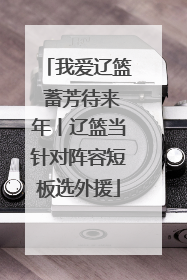我爱辽篮 蓄芳待来年丨辽篮当针对阵容短板选外援