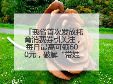 我省首次发放托育消费券引关注，每月最高可领600元，破解“带娃难” 如何不负所“托”？