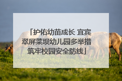 护佑幼苗成长 宜宾翠屏菜坝幼儿园多举措筑牢校园安全防线
