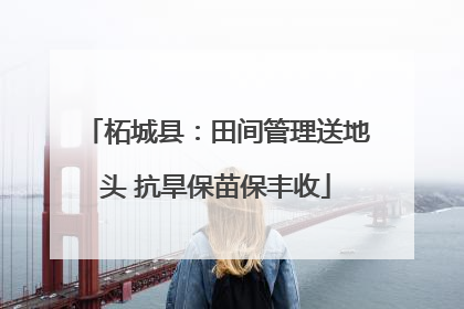柘城县：田间管理送地头 抗旱保苗保丰收