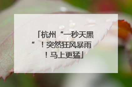 杭州“一秒天黑”！突然狂风暴雨！马上更猛