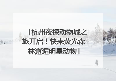 杭州夜探动物城之旅开启！快来荧光森林邂逅明星动物