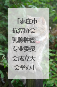 枣庄市抗癌协会乳腺肿瘤专业委员会成立大会举办