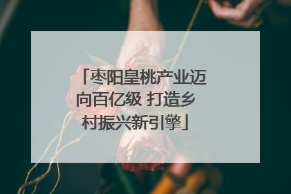 枣阳皇桃产业迈向百亿级 打造乡村振兴新引擎