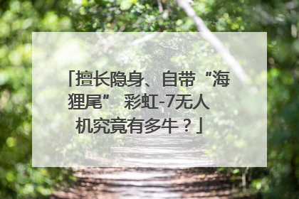 擅长隐身、自带“海狸尾” 彩虹-7无人机究竟有多牛？