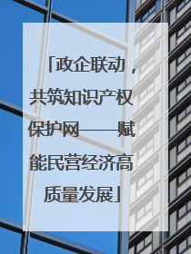 政企联动，共筑知识产权保护网——赋能民营经济高质量发展
