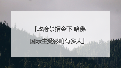政府禁招令下 哈佛国际生受影响有多大