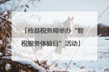 攸县税务局举办“智税服务体验日”活动