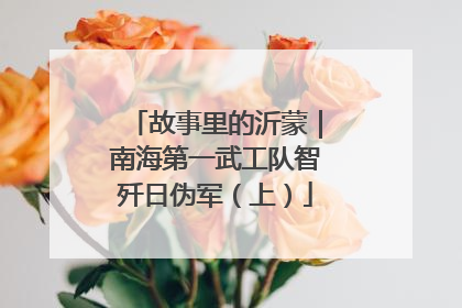 故事里的沂蒙｜南海第一武工队智歼日伪军（上）