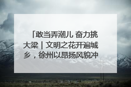 敢当弄潮儿 奋力挑大梁｜文明之花开遍城乡，徐州以昂扬风貌冲刺“万亿之城”