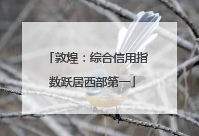 敦煌：综合信用指数跃居西部第一