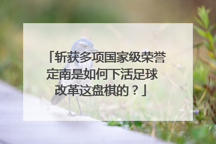 斩获多项国家级荣誉 定南是如何下活足球改革这盘棋的？