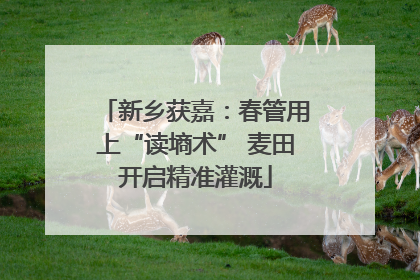 新乡获嘉：春管用上“读墒术” 麦田开启精准灌溉