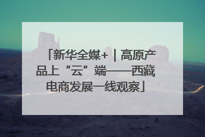 新华全媒+｜高原产品上“云”端——西藏电商发展一线观察