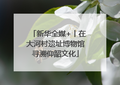 新华全媒+丨在大河村遗址博物馆寻溯仰韶文化