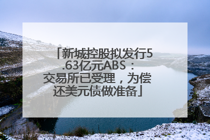 新城控股拟发行5.63亿元ABS：交易所已受理，为偿还美元债做准备