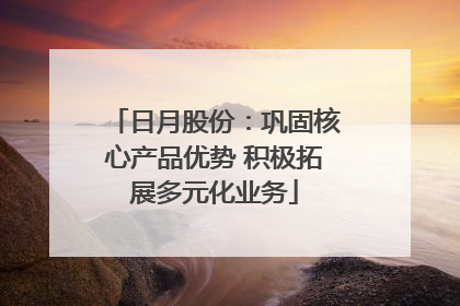 日月股份：巩固核心产品优势 积极拓展多元化业务