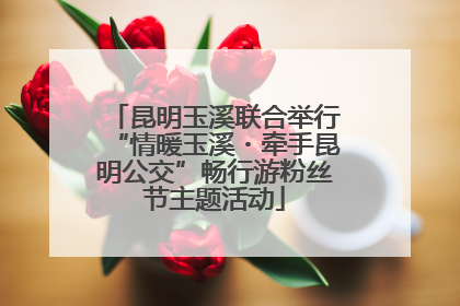 昆明玉溪联合举行“情暖玉溪・牵手昆明公交”畅行游粉丝节主题活动